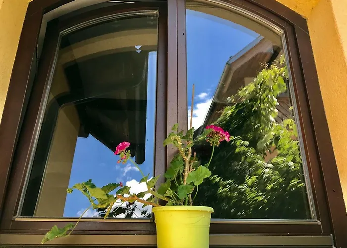 Apartma Bled Home Bled